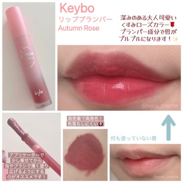 ドトムリッププラスプランパー 07 オータムローズ(AUTUMN ROSE)/keybo/リップグロスを使ったクチコミ（1枚目）