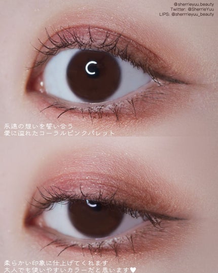 アディクション ザ アイシャドウ パレット/ADDICTION/アイシャドウパレットを使ったクチコミ(3枚目)