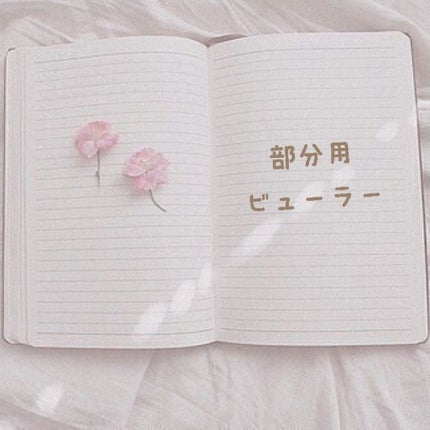 No.100 アクセントカーラー/コージー/ビューラーを使ったクチコミ(1枚目)