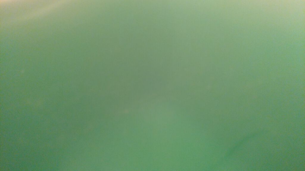 こだわり薄荷 炭酸湯/温泡/炭酸系入浴剤を使ったクチコミ（2枚目）