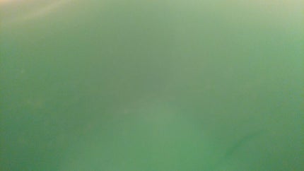 温泡 こだわり薄荷 炭酸湯のクチコミ「温泡 こだわり薄荷炭酸湯☆
純薄荷の香り
純粋な薄荷!ということで、
ものすごい、ザ・薄荷.....」(2枚目)