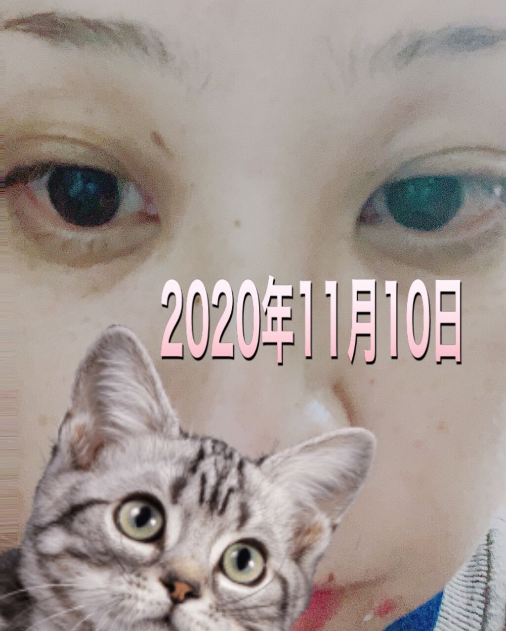 EMAKED（エマーキット）/水橋保寿堂製薬/まつげ美容液を使ったクチコミ（3枚目）