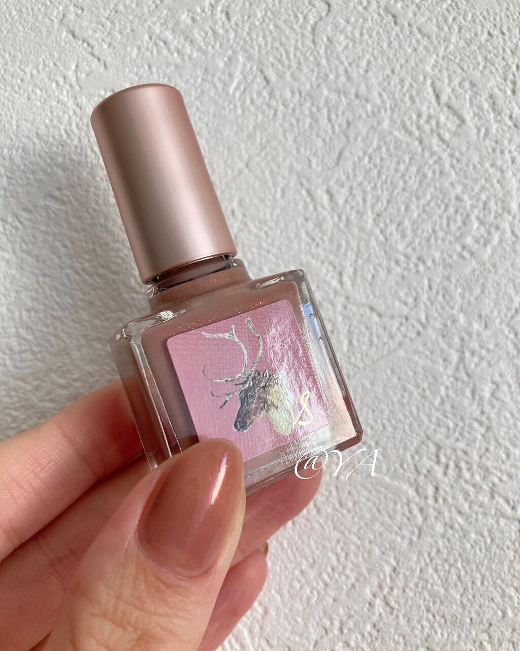 ネイルエス/ nail S(ネイルエス) /マニキュアを使ったクチコミ（1枚目）