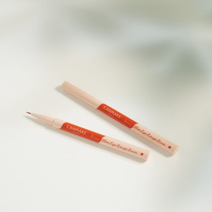 3wayスリムアイルージュライナー/キャンメイク/リキッドアイライナーを使ったクチコミ(1枚目)