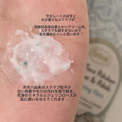 フェイスポリッシャー リフレッシング(ミント)/SABON/スクラブ・ゴマージュを使ったクチコミ(5枚目)