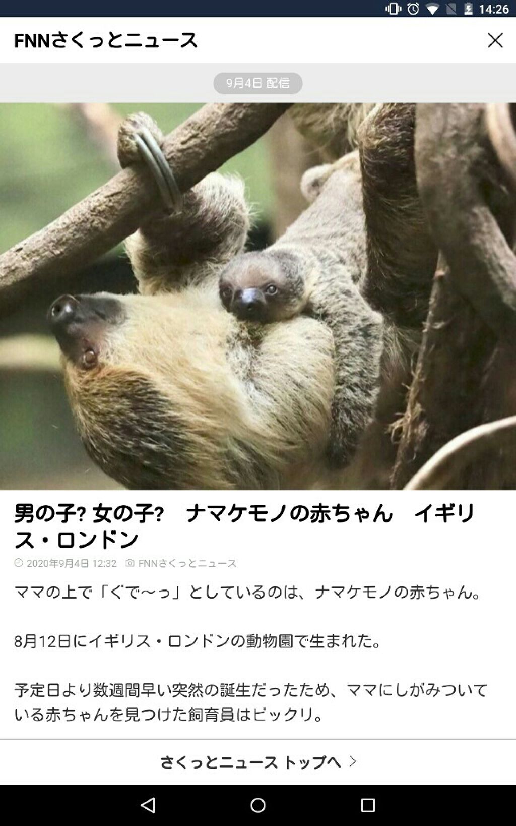 エッセンスパウダーBB/グレイシィ/プレストパウダーを使ったクチコミ(4枚目)