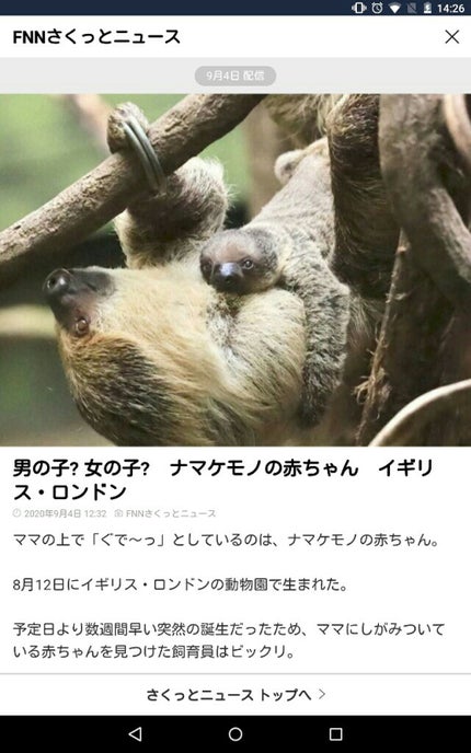 エッセンスパウダーBB/グレイシィ/プレストパウダーを使ったクチコミ(4枚目)