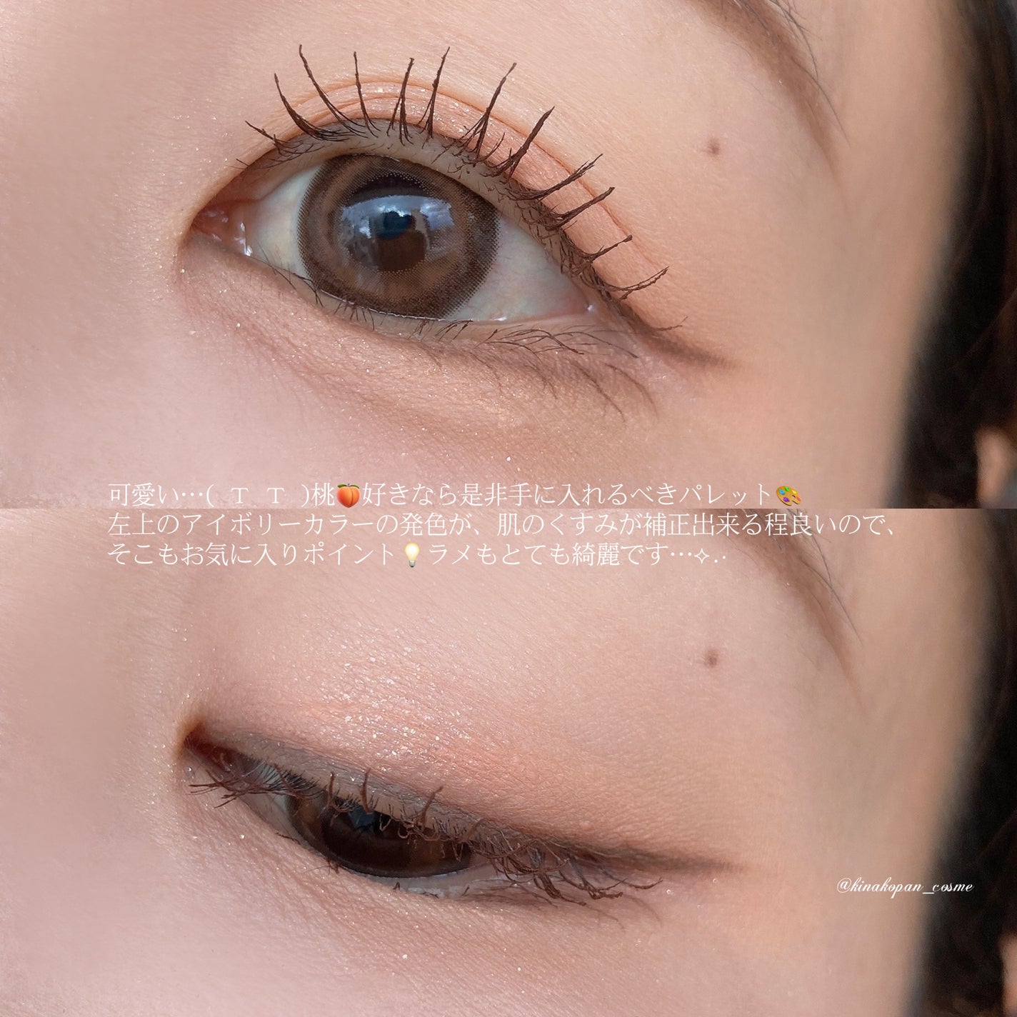 ブラーフィニシュシャドウパレット/Dinto/アイシャドウパレットを使ったクチコミ(4枚目)