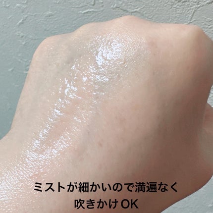 プレップ プライム フィックス+/M・A・C/ミスト状化粧水を使ったクチコミ(4枚目)