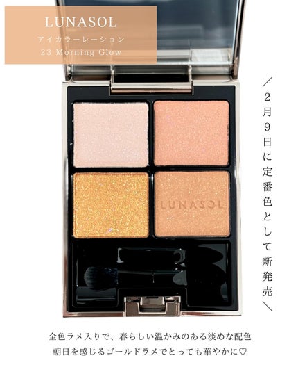 アイカラーレーション/LUNASOL/アイシャドウパレットを使ったクチコミ(2枚目)