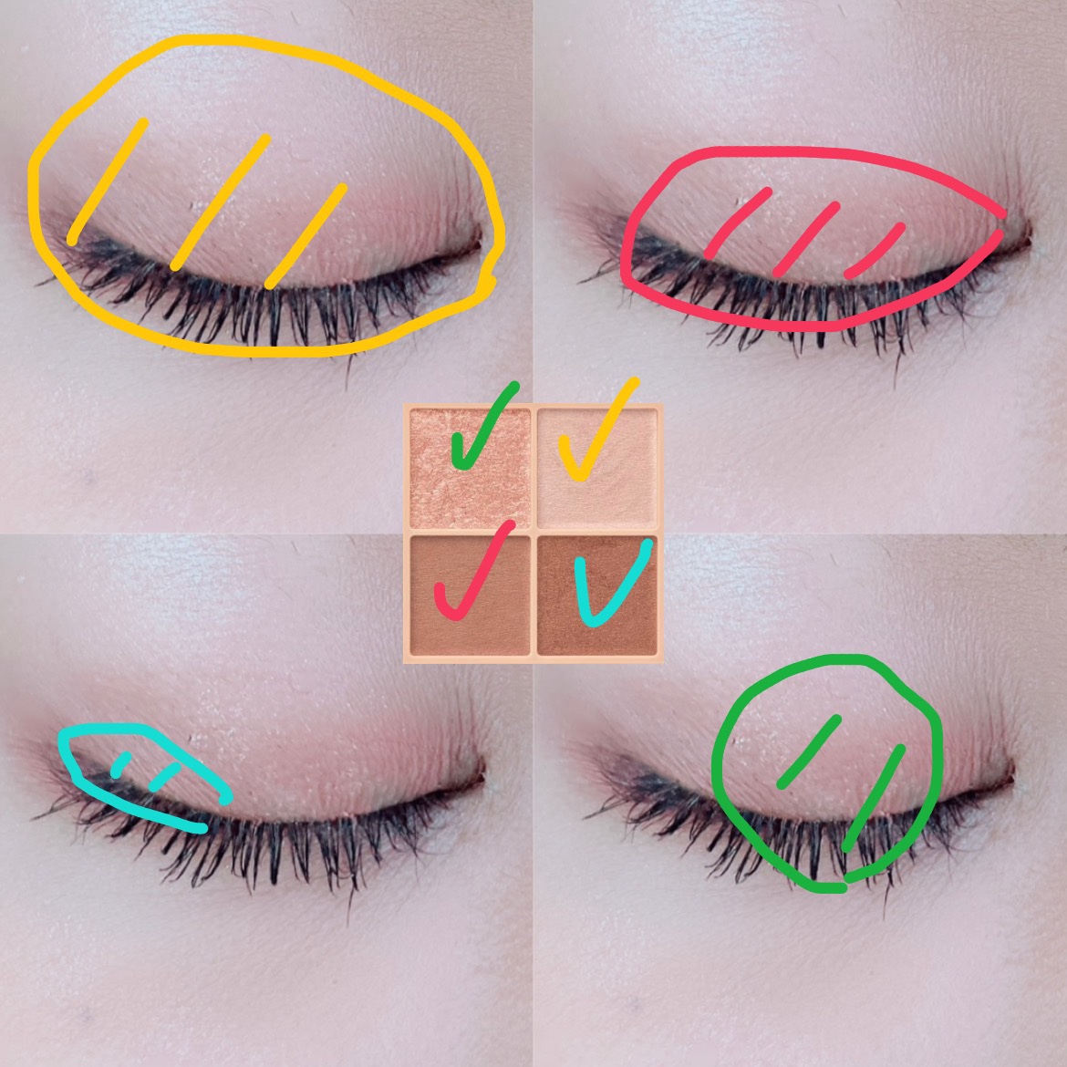 ベージュトーンアイシャドウ/CEZANNE/アイシャドウパレットを使ったクチコミ（2枚目）