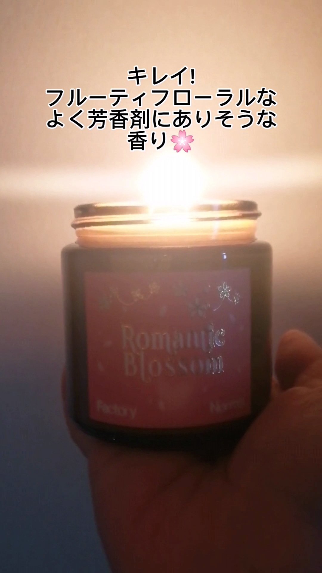 bath&body works 3本芯キャンドル 3個 F 3-Wick Scented Candles