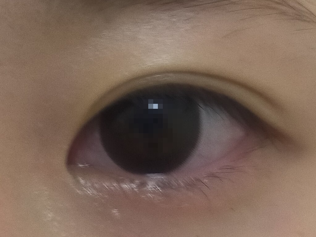 feliamo 1day/feliamo/ワンデー（１DAY）カラコンを使ったクチコミ（1枚目）