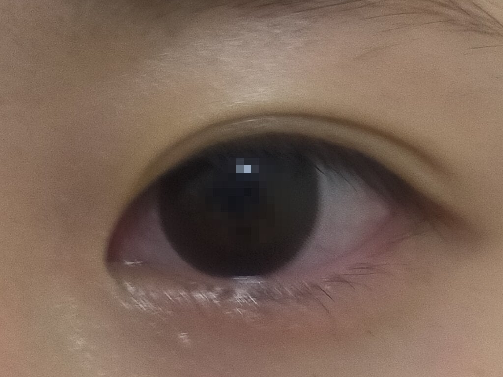 feliamo 1day/feliamo/ワンデー(1DAY)カラコンを使ったクチコミ(1枚目)