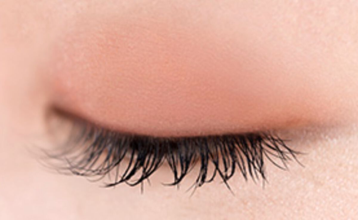 アイプランナー F02 ナツメグ