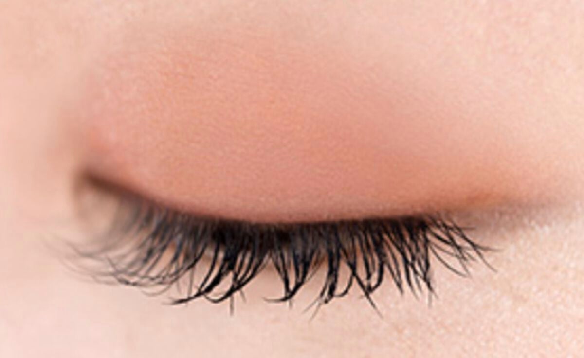 アイプランナー F02 ナツメグ