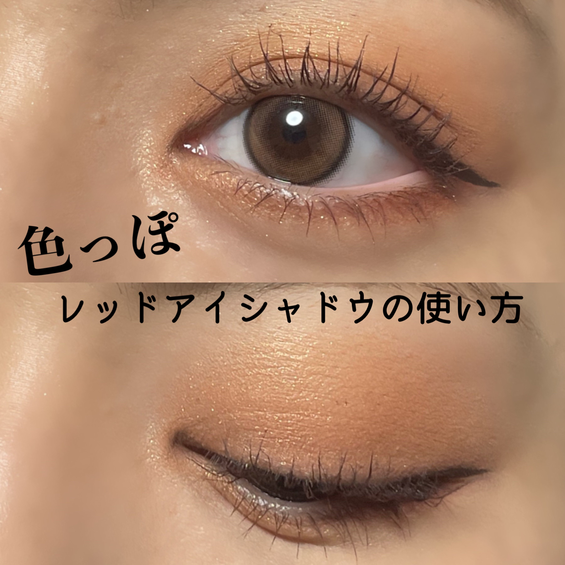 シルキースフレアイズ/キャンメイク/アイシャドウパレットを使ったクチコミ（1枚目）