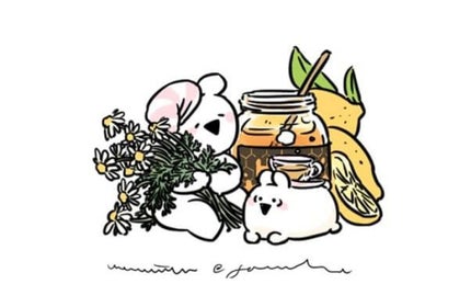 オペラ シアーリップカラー RN/OPERA/リップグロスを使ったクチコミ(1枚目)