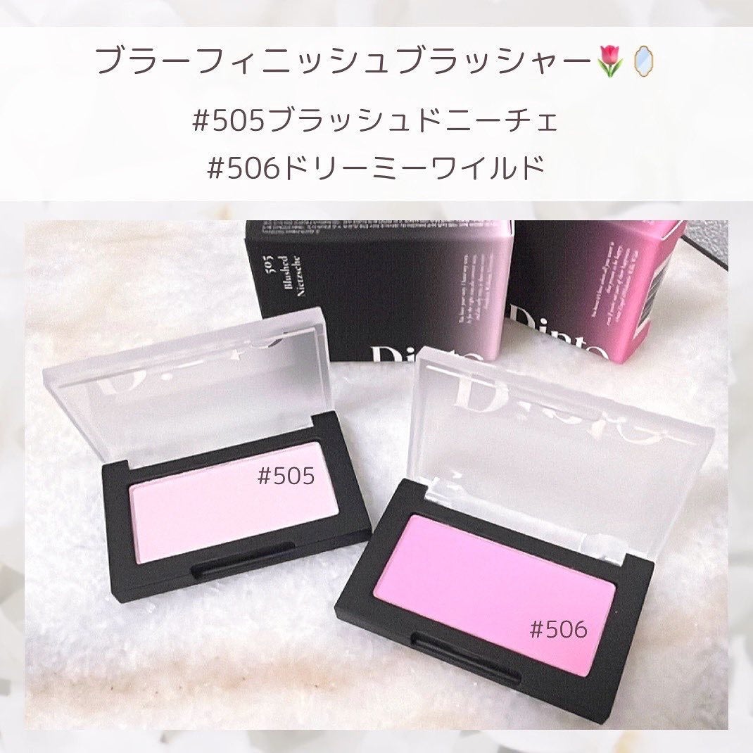 ブラーフィニシュシャドウパレット/Dinto/アイシャドウパレットを使ったクチコミ(3枚目)