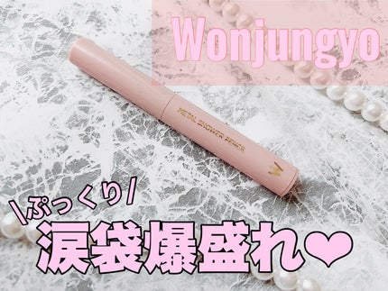 ウォンジョンヨ メタルシャワーペンシル/Wonjungyo/スティックアイシャドウを使ったクチコミ(1枚目)