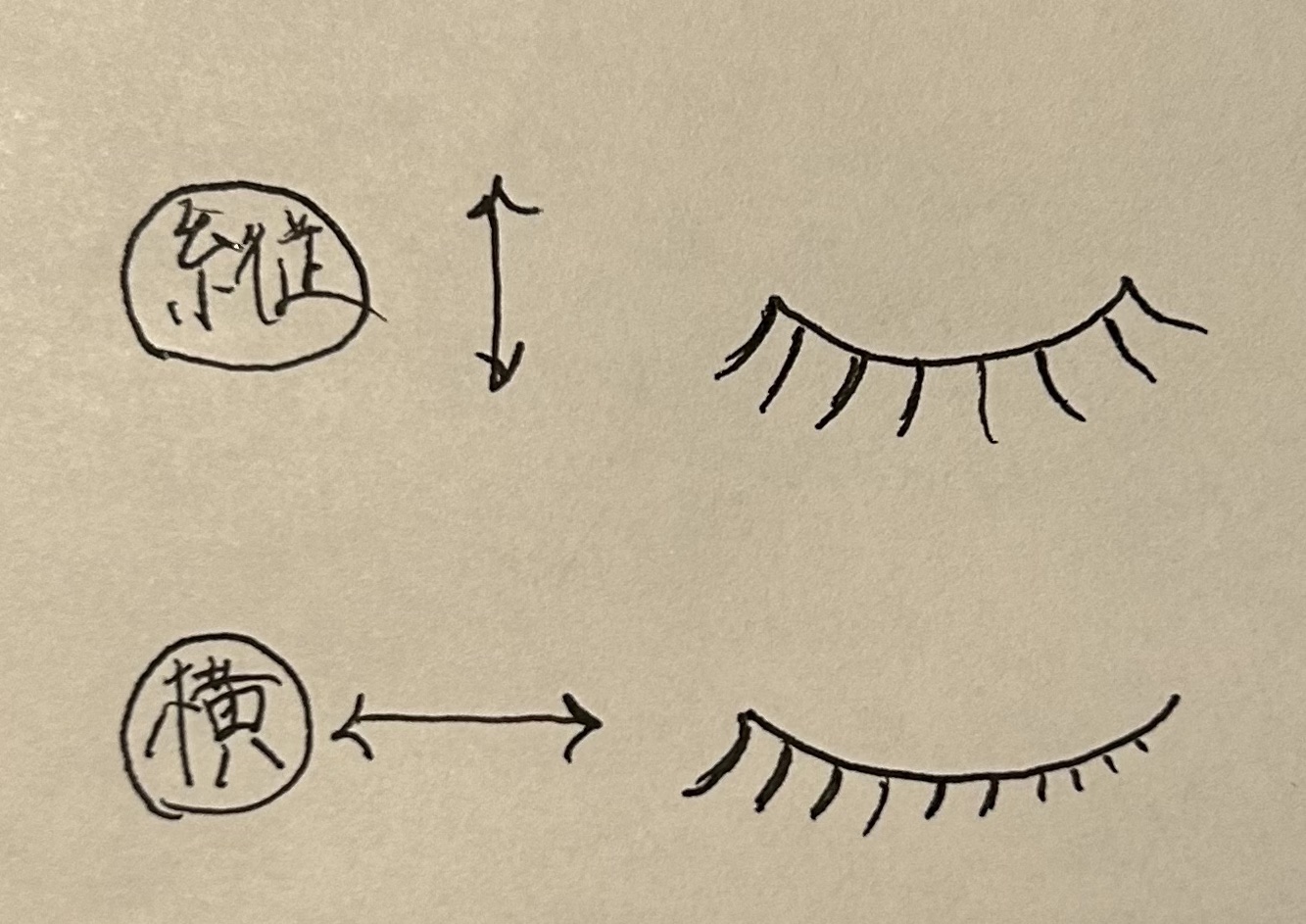 ナチュラル チークN/CEZANNE/パウダーチークを使ったクチコミ（3枚目）