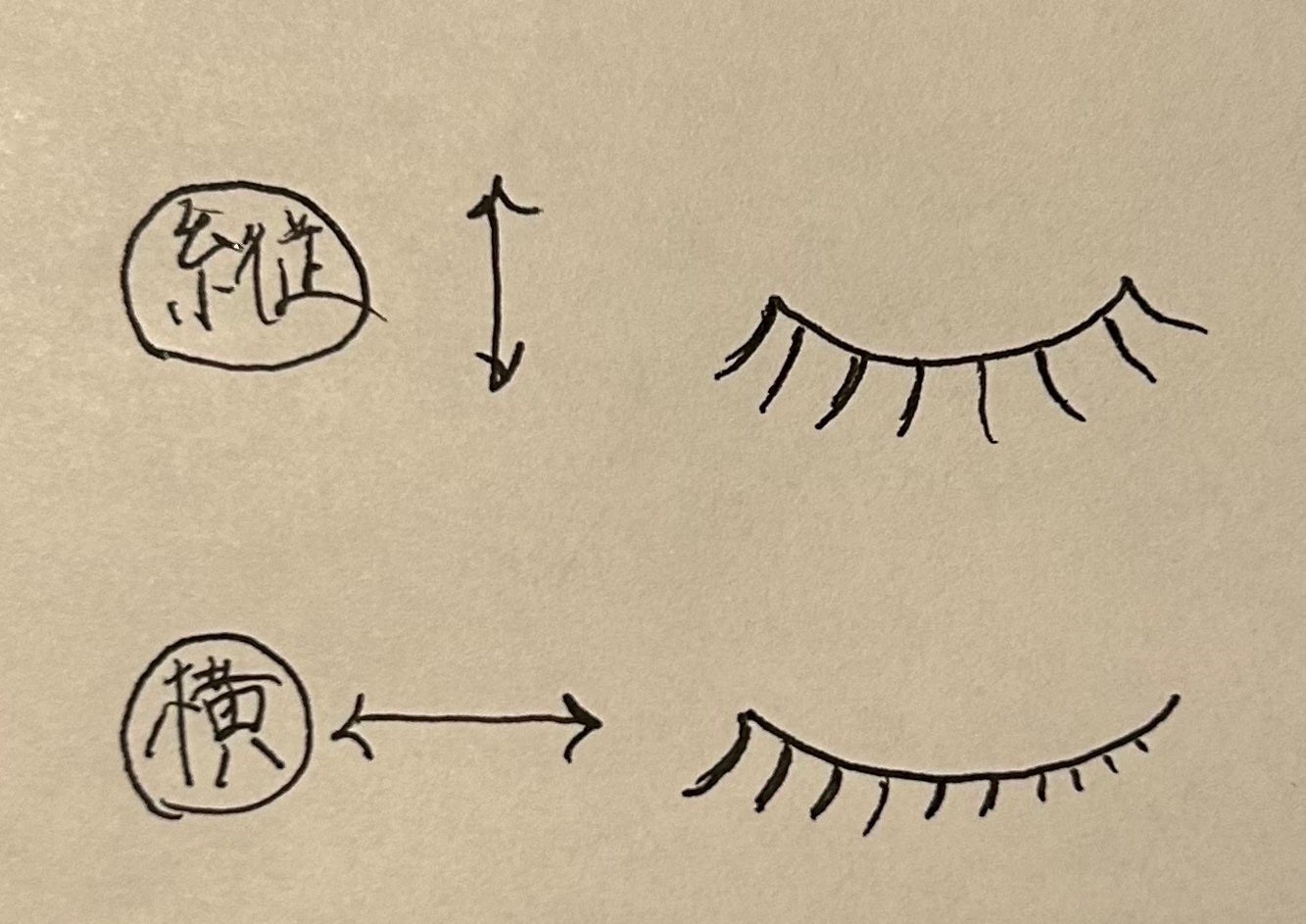 ナチュラル チークN/CEZANNE/パウダーチークを使ったクチコミ(3枚目)
