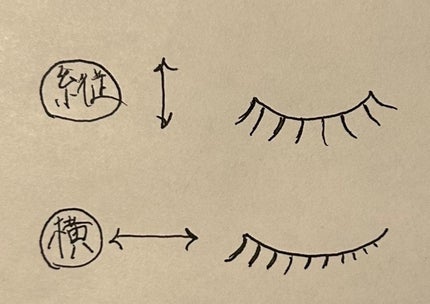 ナチュラル チークN/CEZANNE/パウダーチークを使ったクチコミ(3枚目)