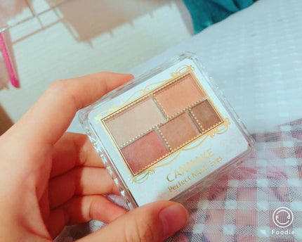 パーフェクトマルチアイズ/キャンメイク/アイシャドウパレットを使ったクチコミ(1枚目)