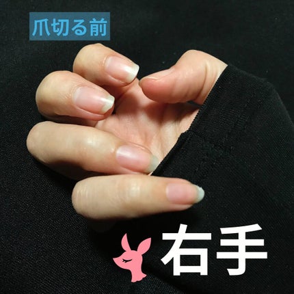 d プログラム バランスケア ローション MBのクチコミ「こんにちは!
こげたぱんです🍞
今回の投稿も #爪日記 です。
自身の記録用でもありま.....」(2枚目)