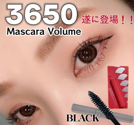 マスカラ ボリューム/3650/マスカラを使ったクチコミ(1枚目)