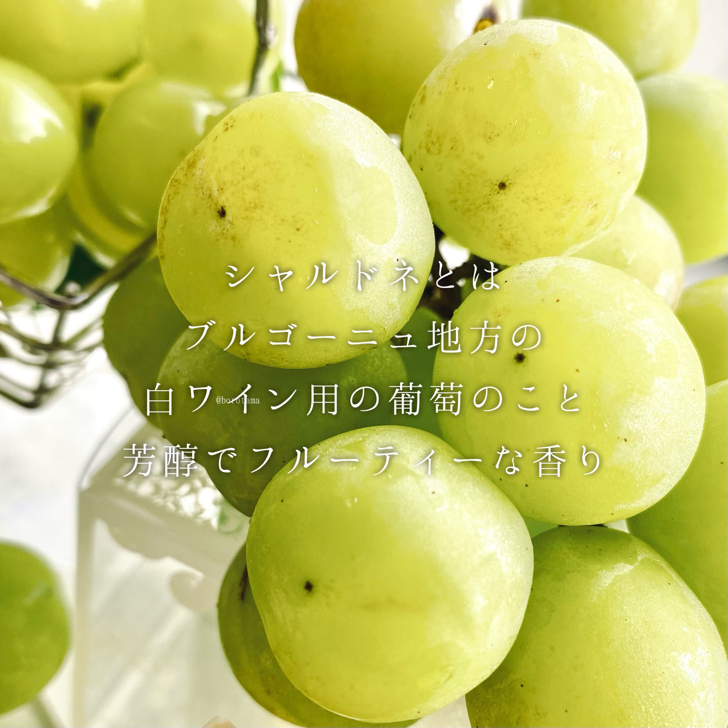 ライジングウェーブ フリー サニーシャルドネ オードトワレ/ライジングウェーブ/香水(メンズ)を使ったクチコミ（2枚目）