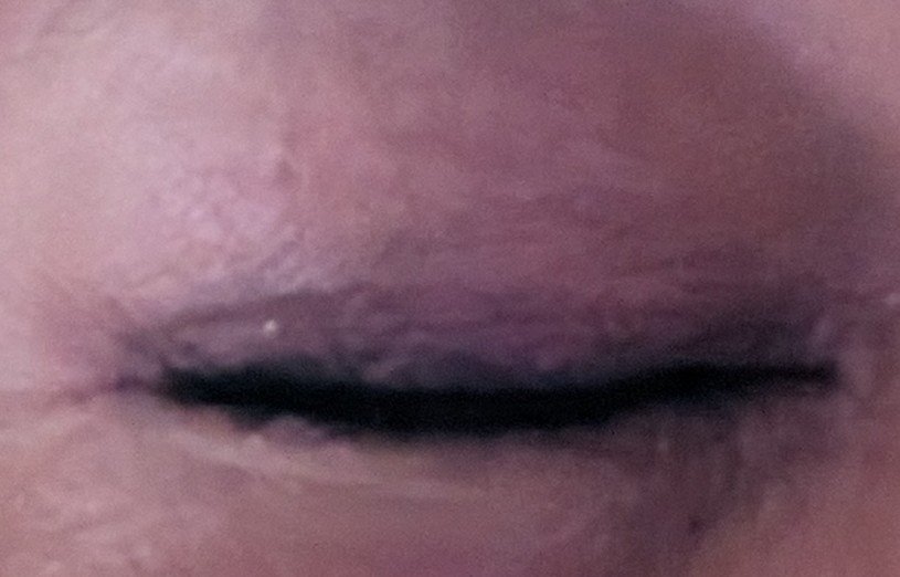 ラッシュエキスパンダー ロングロングロング/MAJOLICA MAJORCA/マスカラを使ったクチコミ（3枚目）