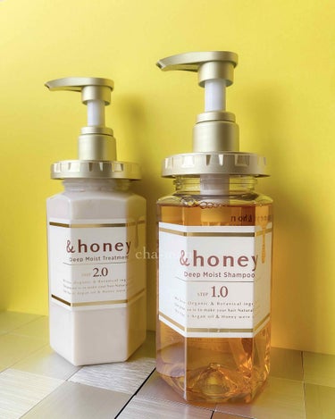 ディープモイスト シャンプー1.0／ヘアトリートメント2.0/&honey/シャンプー・コンディショナーを使ったクチコミ（1枚目）