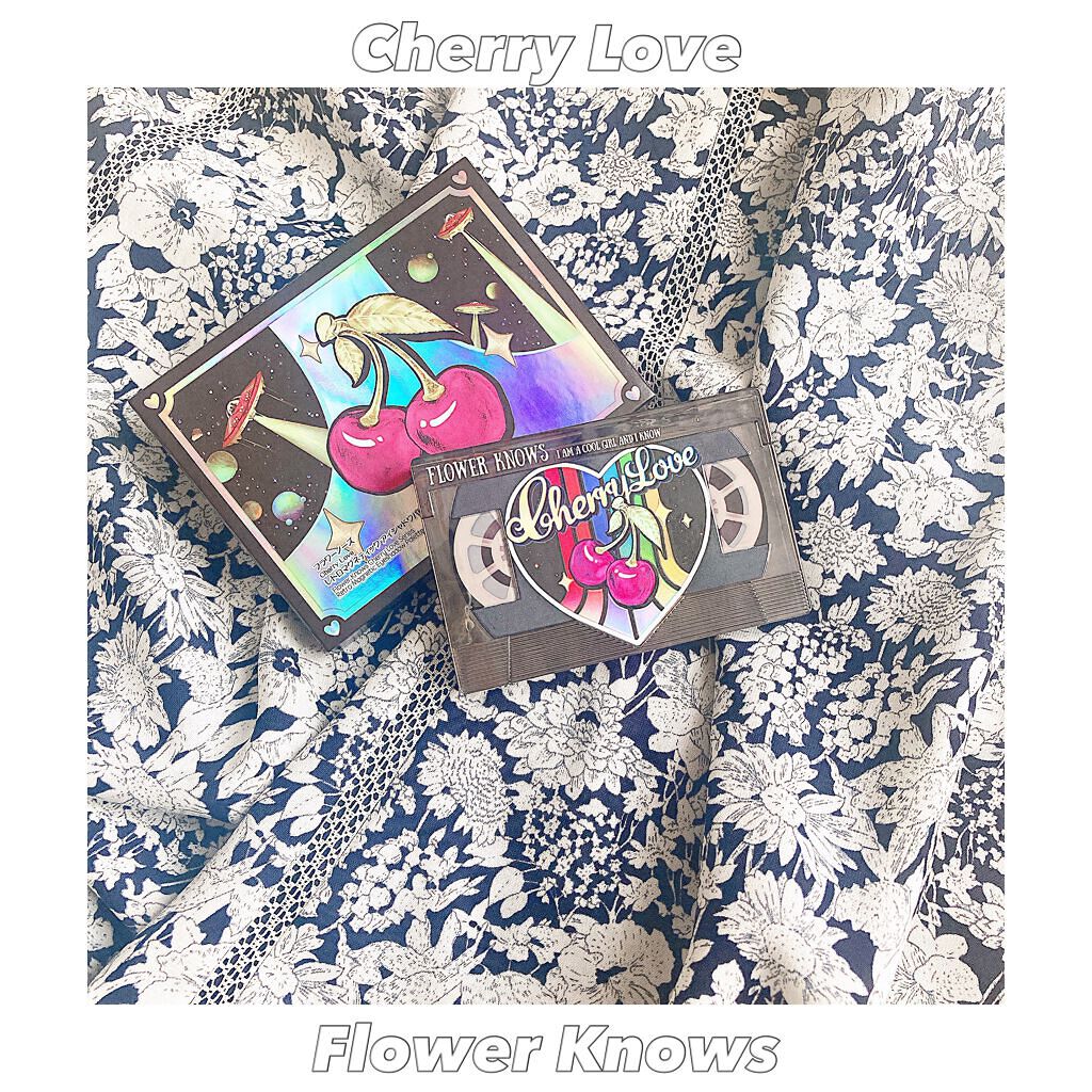 レトロマグネティック アイシャドウパレット/FlowerKnows/アイシャドウパレットを使ったクチコミ（1枚目）