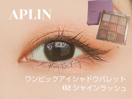 ワンピックアイシャドウパレット/APLIN/アイシャドウパレットを使ったクチコミ(1枚目)