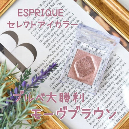 セレクト アイカラー N/ESPRIQUE/単色アイシャドウを使ったクチコミ(1枚目)