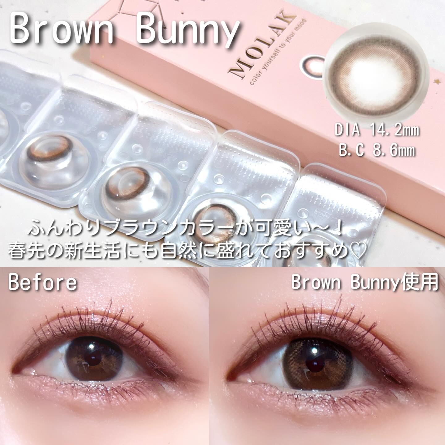 MOLAK 1day｜MOLAKのカラコンレポ・着画口コミ - MOLAKから春先にも