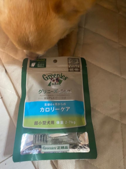 クォーツ 9色アイシャドウパレット(ドリームランドアイシャドウ)/ZEESEA/アイシャドウパレットを使ったクチコミ(6枚目)