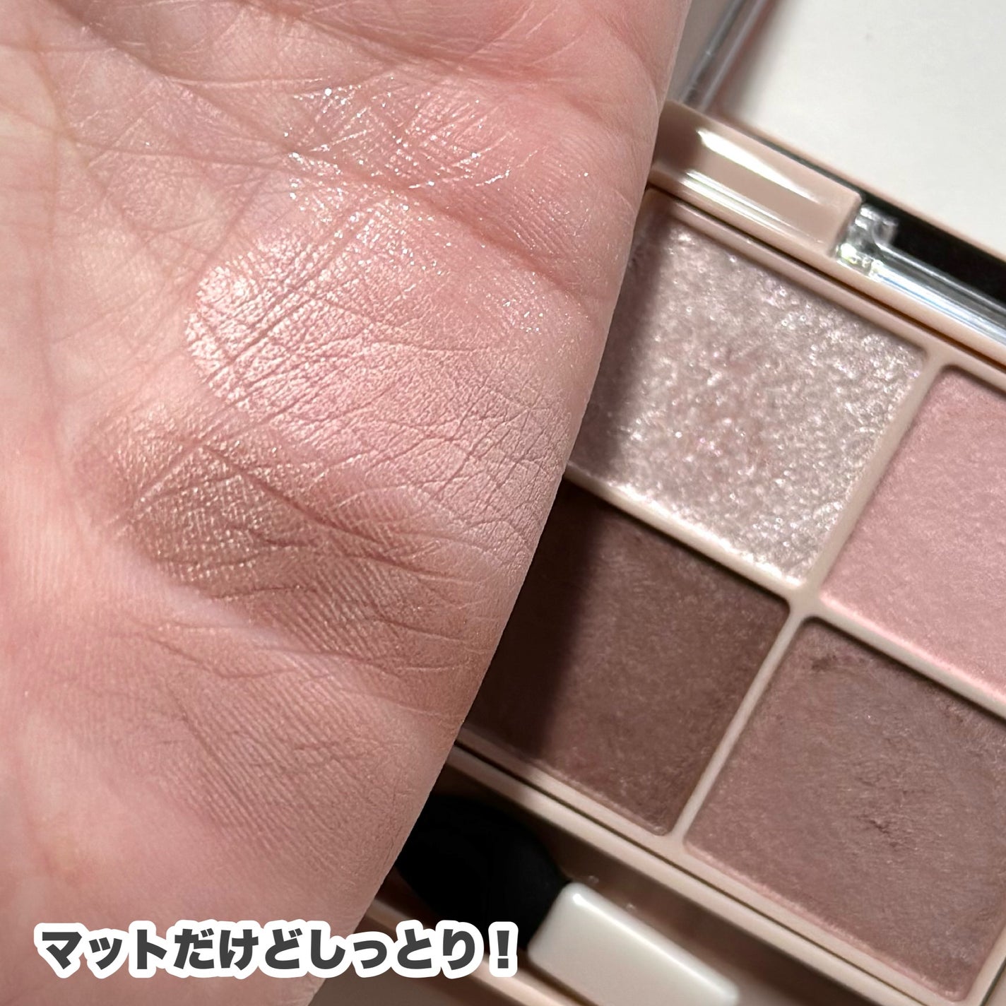 シルキースフレアイズ(マットタイプ)/キャンメイク/アイシャドウパレットを使ったクチコミ(6枚目)