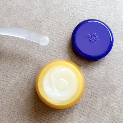 ブルーベリーハニーリップバーム/FRUDIA/リップバームを使ったクチコミ(9枚目)