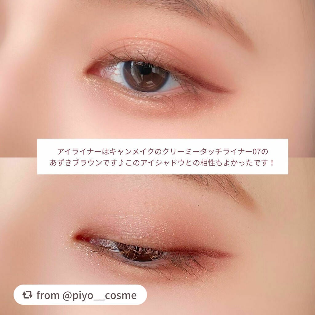 シルキースフレアイズ(マットタイプ)/キャンメイク/アイシャドウパレットを使ったクチコミ(7枚目)