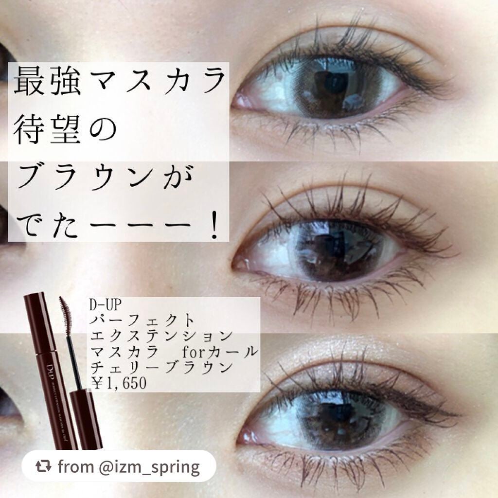 パーフェクトエクステンション マスカラ for カール/D-UP/マスカラを使ったクチコミ(1枚目)