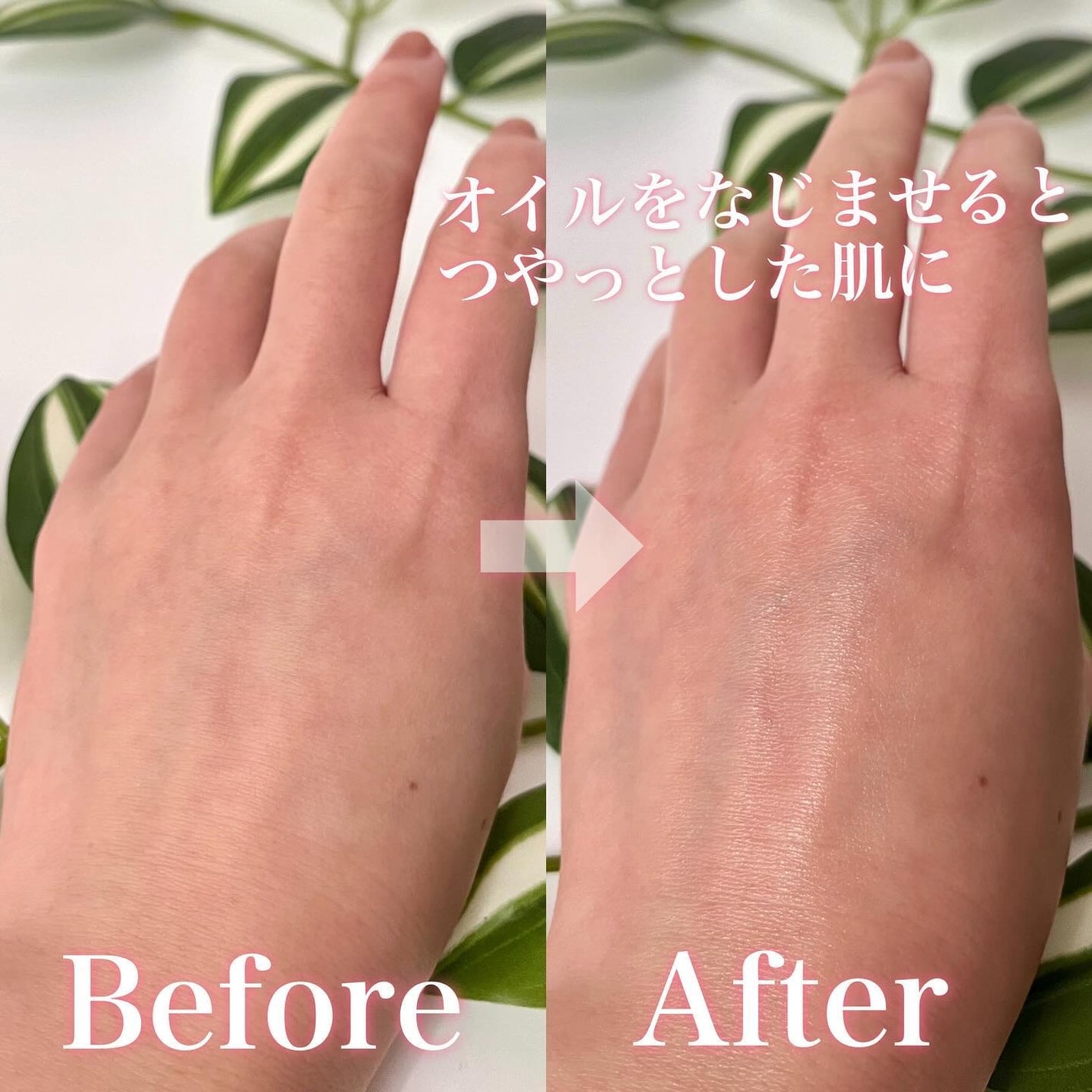 ボタニックセバムオイル/Natures for/フェイスオイルを使ったクチコミ(5枚目)