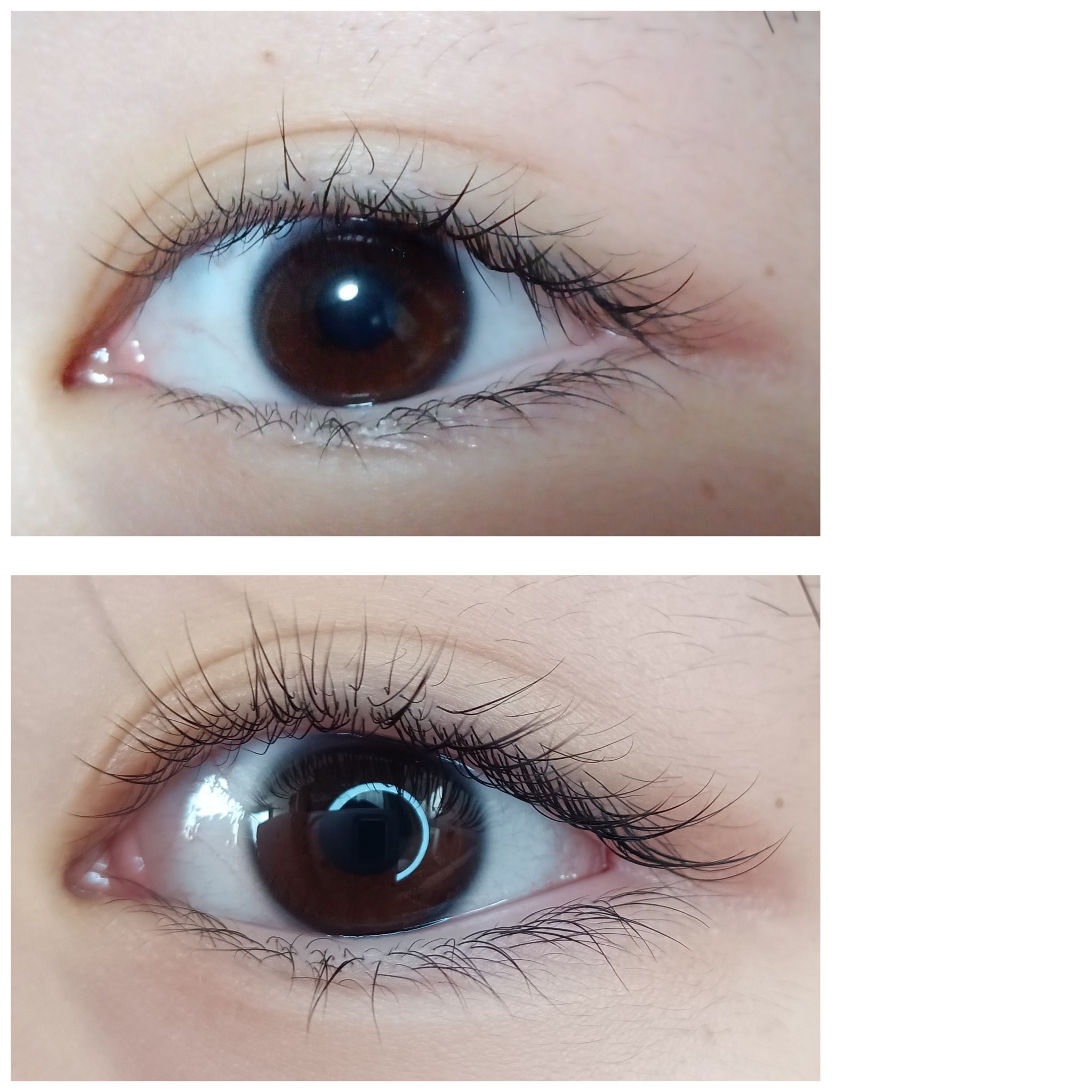 ラッシュジェリードロップ　ＥＸ/MAJOLICA MAJORCA/まつげ美容液を使ったクチコミ（2枚目）