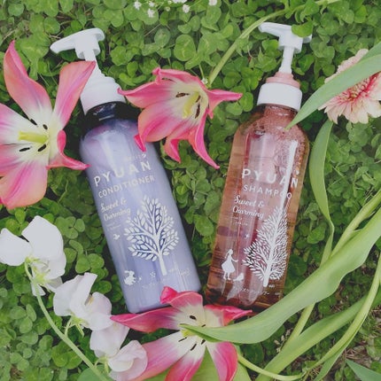 PYUAN スウィート&チャーミング シャンプー/コンディショナー/ピュアン/シャンプー・コンディショナーを使ったクチコミ(1枚目)
