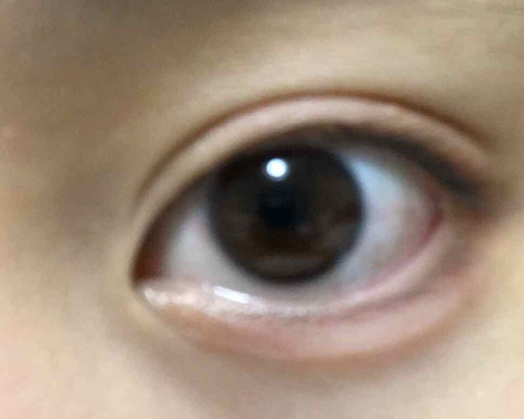 UR GLAM　BLOOMING EYE COLOR PALETTE/U R GLAM/アイシャドウパレットを使ったクチコミ（2枚目）