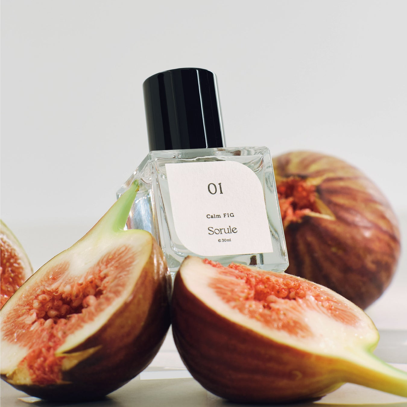 Sorule 01 カームフィグ