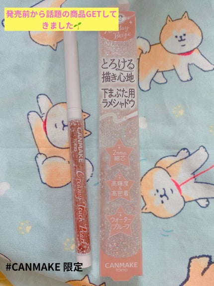 クリーミータッチパール/キャンメイク/ペンシルアイライナーを使ったクチコミ(1枚目)