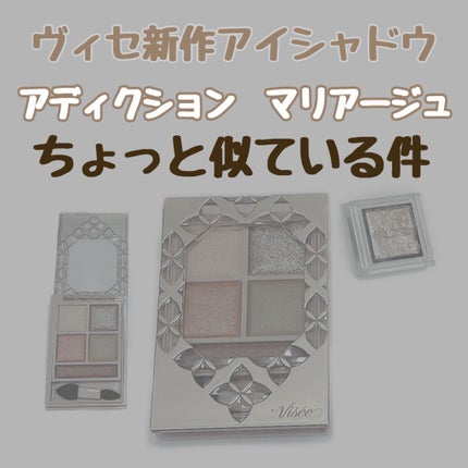 パノラマデザイン アイパレット/Visée/アイシャドウパレットを使ったクチコミ(1枚目)