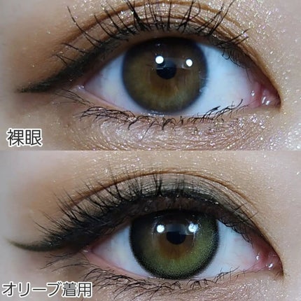 Secretive Kristen 1day/Hapa kristin/ワンデー(1DAY)カラコンを使ったクチコミ(6枚目)